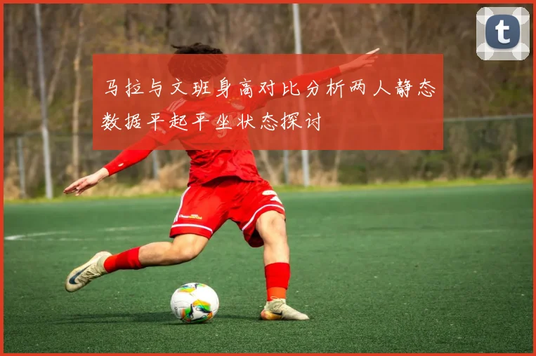 马拉与文班身高对比分析两人静态数据平起平坐状态探讨